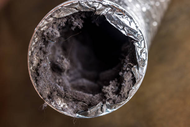 Best Affordable HVAC Duct Cleaning  in Lumber City, GA