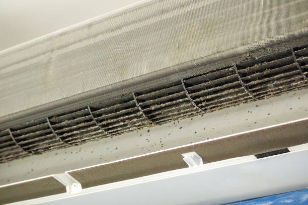 Best Air Duct Inspection  in Lumber City, GA
